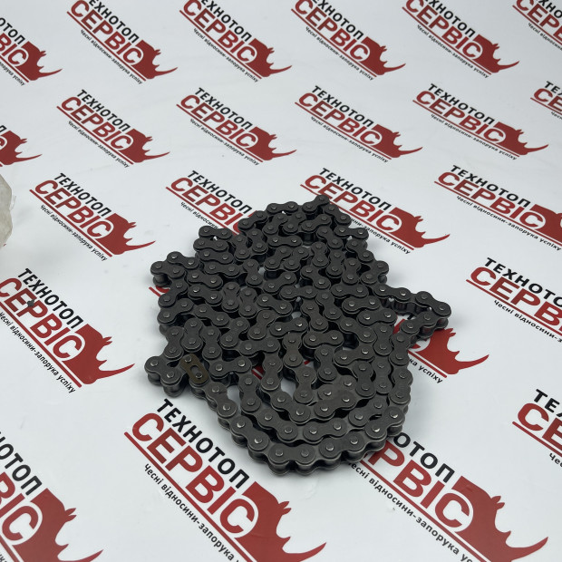 Ланцюг 10B-1 L=2.5 м Gaspardo CT chain, F06080170