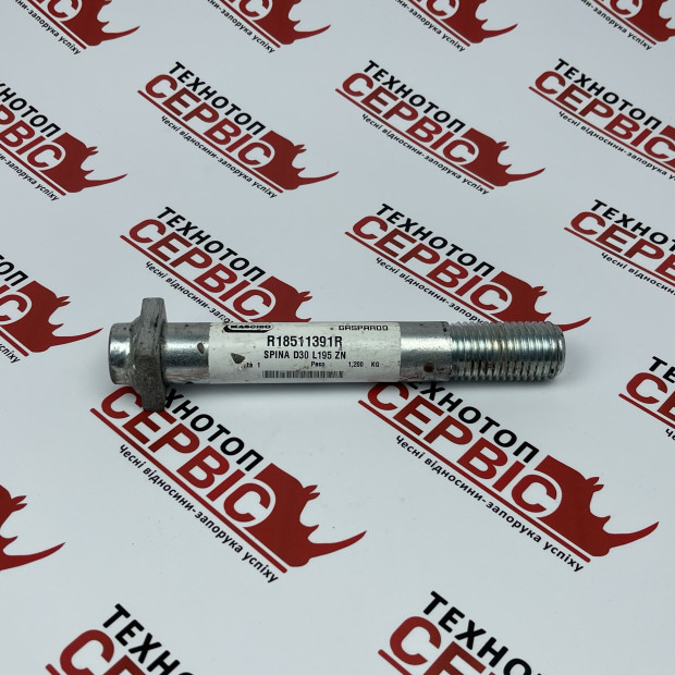 Палець болт М30х195 Gaspardo Original, R18511391