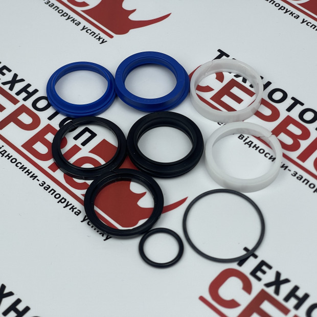 Ремнабір гідроциліндра Gaspardo FP, F03100609