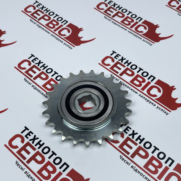 Зірочка з обгінной муфтою 20 квадрат Z-23 Gaspardo MP, G17131500