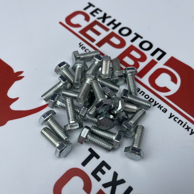 Болт M6x20 Gaspardo FP, F01020403