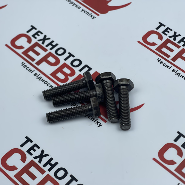 Болт M10X1,5X40 Gaspardo FP, F01020110