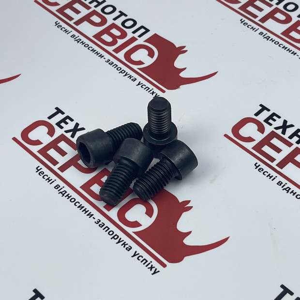Болт кріплення кулачка на кукурудзяну жниварку М14х25 Geringhoff (аналог), 040591