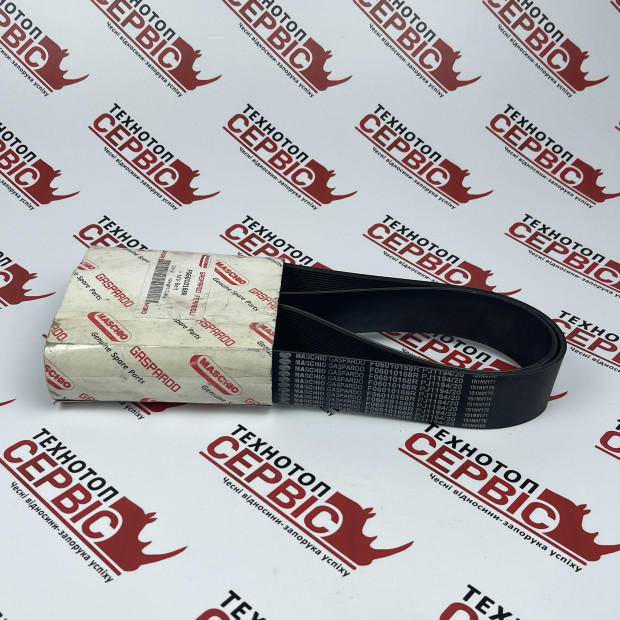 Пас  J1194/20 Gaspardo  Original, F06010168